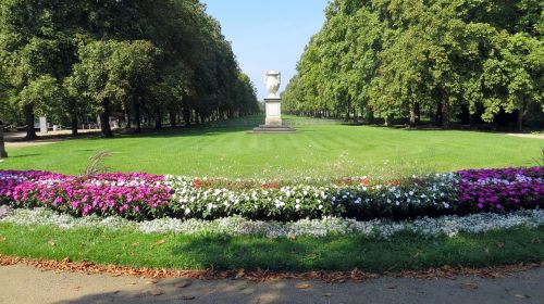 pillnitz dresden castle park