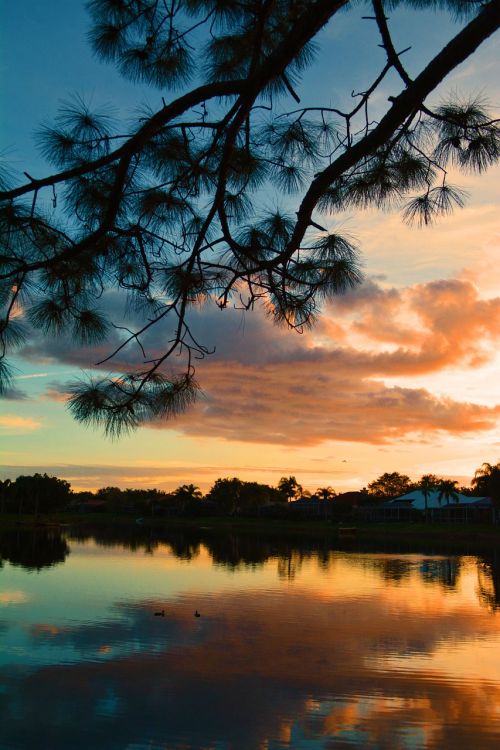 pine sunset lake suburban