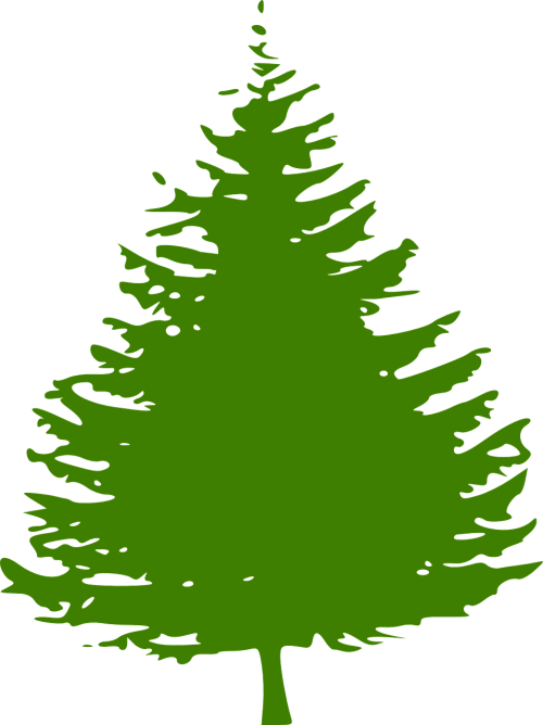 pine tree christmas tree
