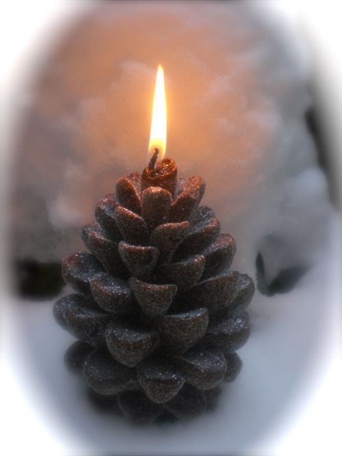 pine cones candle pine