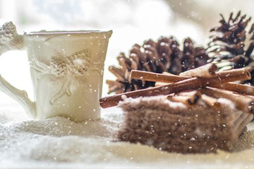 pine cones snow winter