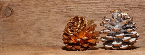 pine cones gold wood