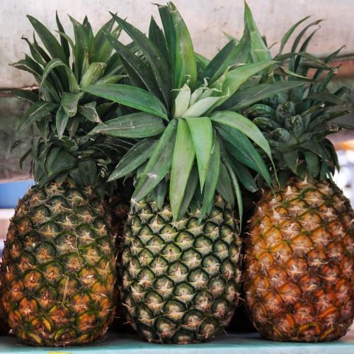 pineapple fruit sweet