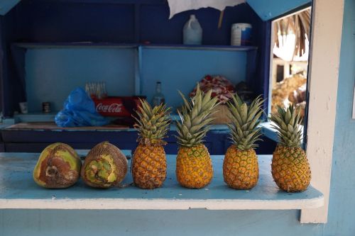 pineapple bar caribbean