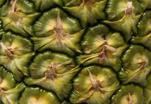 pineapple fruit close up