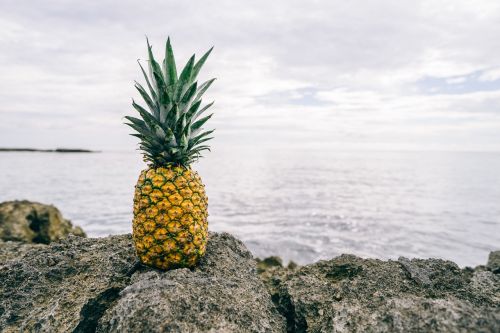 pineapple ocean view freshness