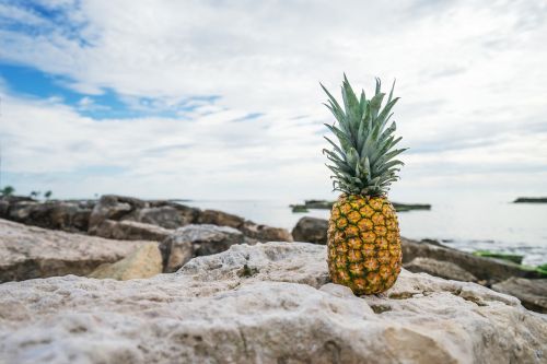 pineapple beach tropical