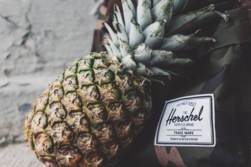 pineapple produce edible fruit