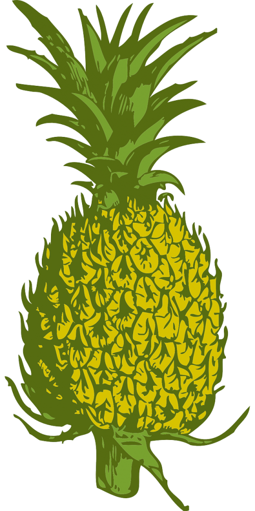 pineapple fruit food