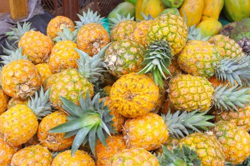 pineapple gallery fruit