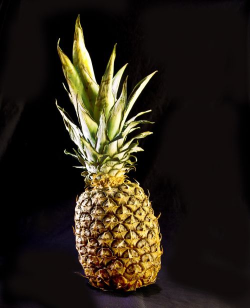 pineapple fruit tropical fruit