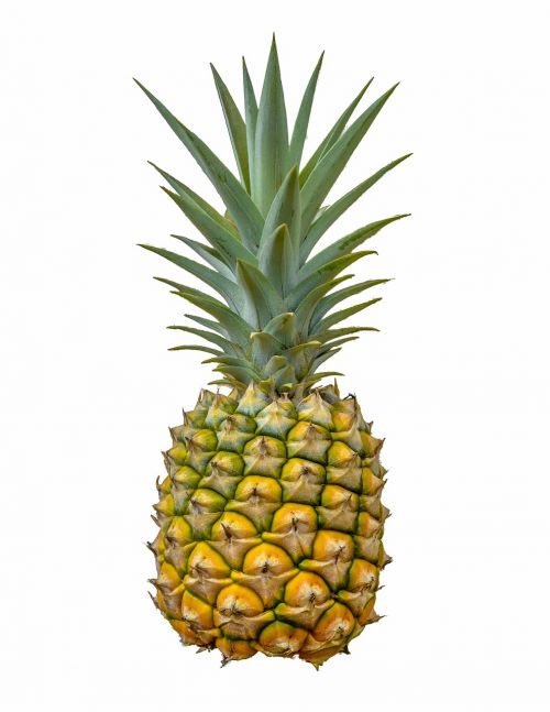 pineapple fruit white background