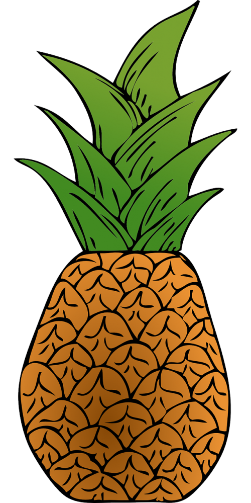 pineapple exotic fruit