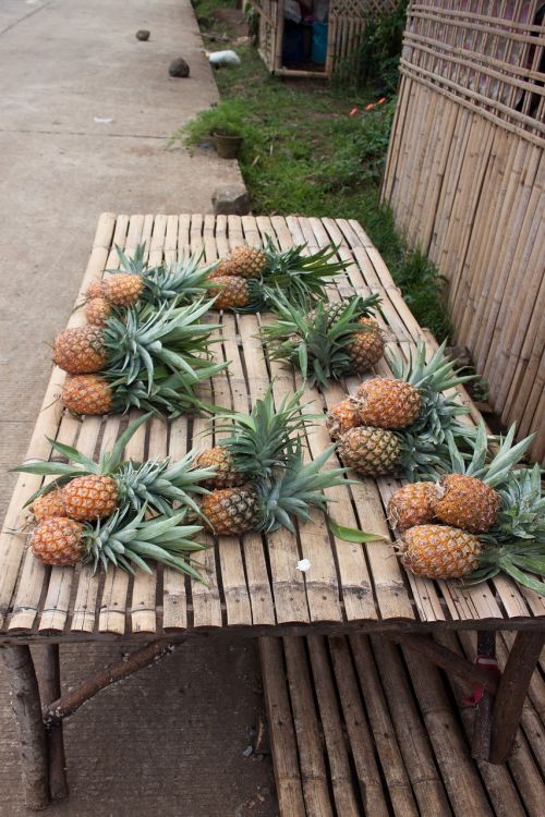 pineapple fruits table