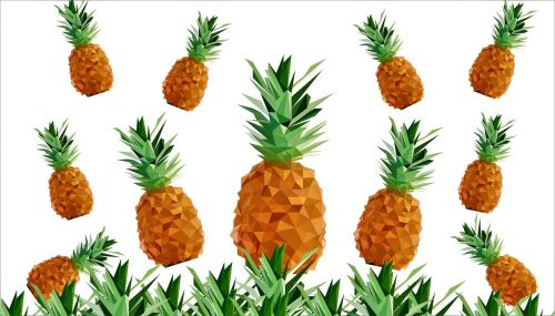 pineapple print polygonal