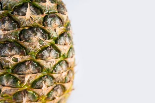 pineapple fruit isolated