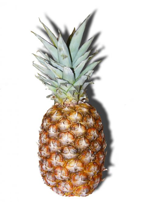 pineapple fruits tropical