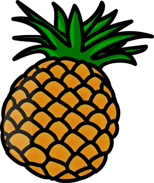 pineapple fruit tropical