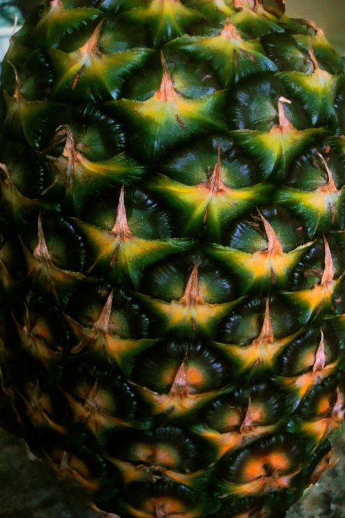 pineapple close-up detail