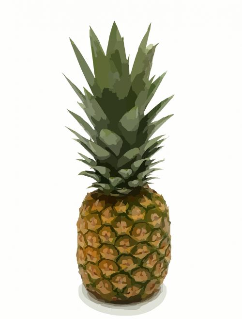 pineapple exotic food