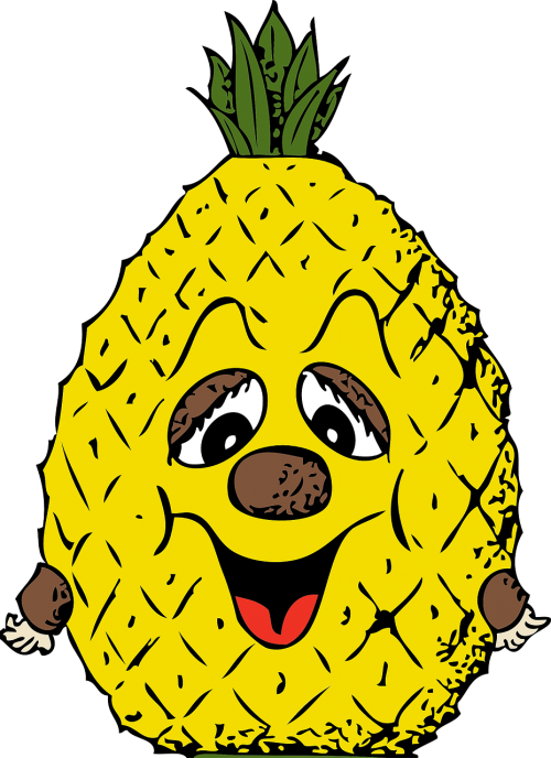 pineapple tropical fruit happy