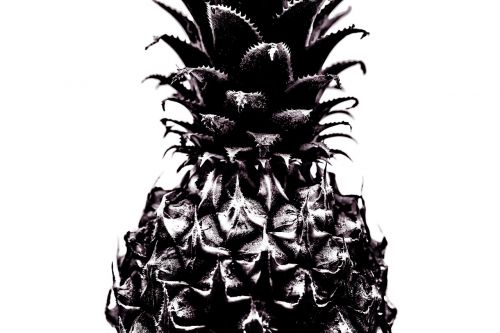 pineapple isolated bw