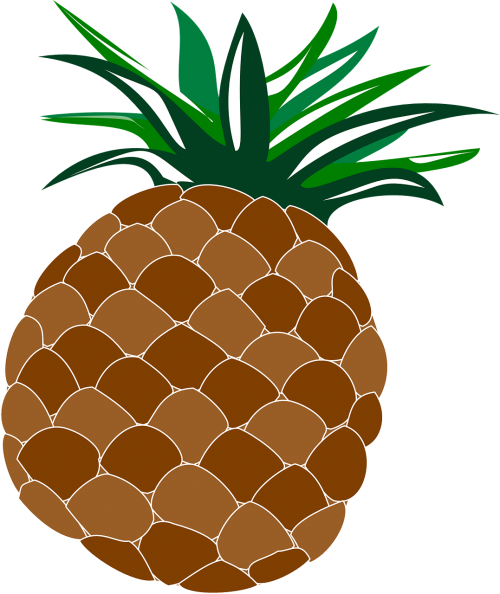 pineapple food fruit