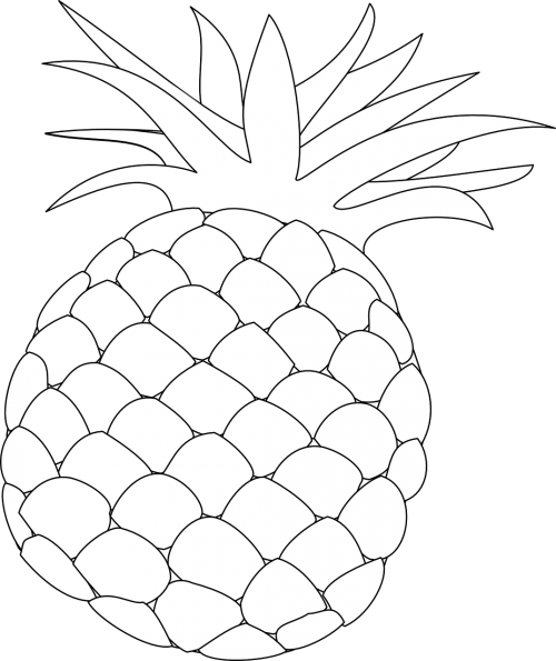 pineapple outline food