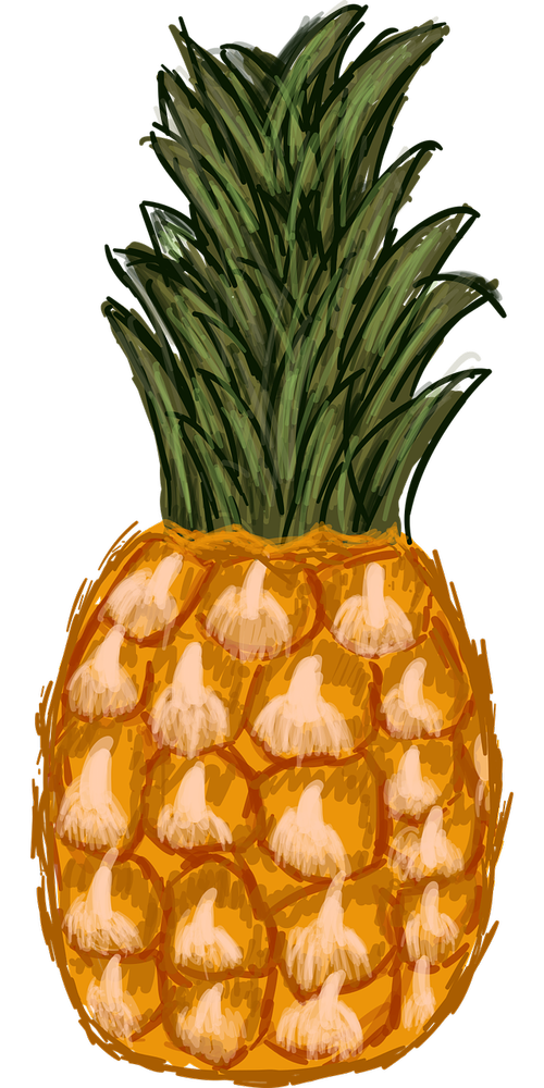 pineapple  hand drawn  tropical fruit