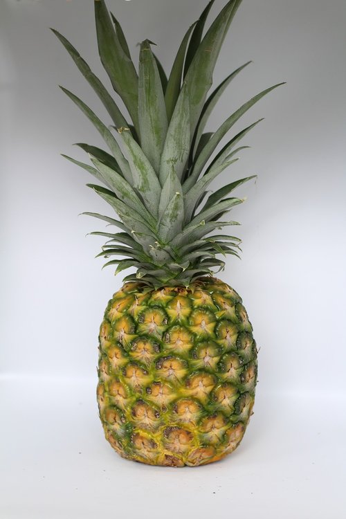 pineapple  fruit  tropical