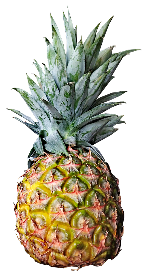 pineapple  fresh  fruit