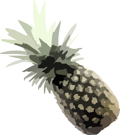 pineapple plant tropical