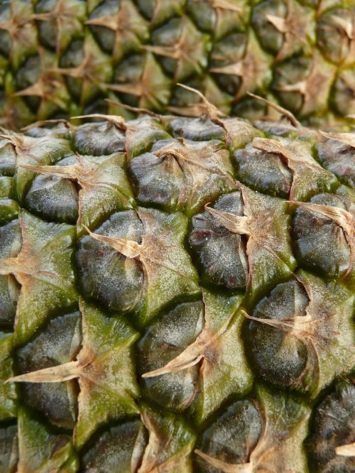 pineapple fruit sweet