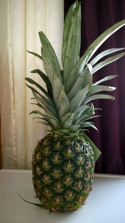 pineapple fruit green