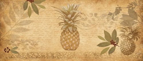 pineapple collage natural