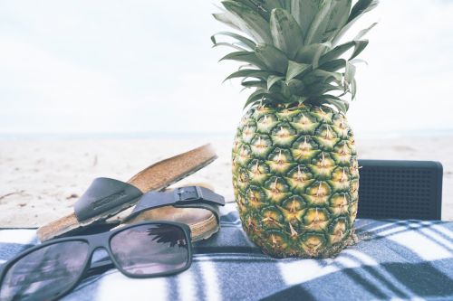 pineapple picnic beach