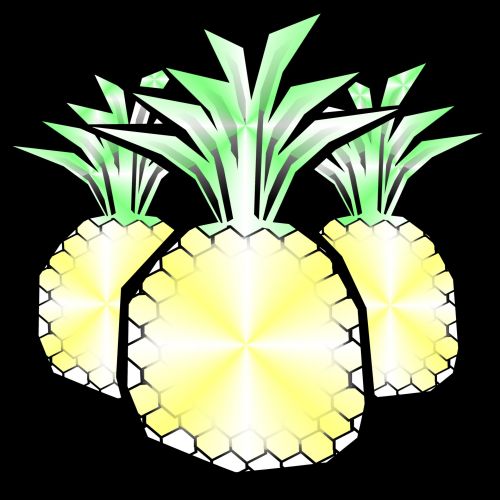 Pineapple Frame