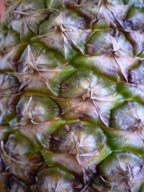 Pineapple Skin