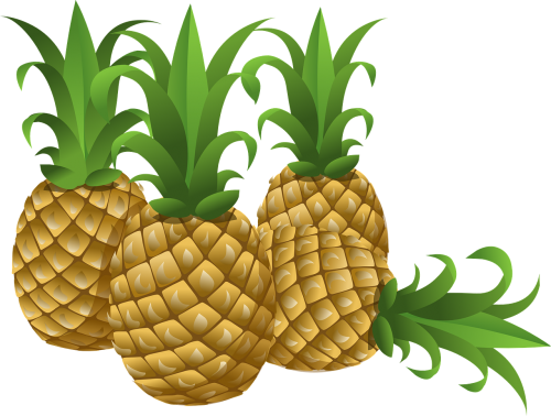 pineapples tropical fruits