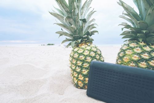 pineapples beach picnic
