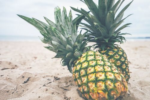 pineapples fruit beach