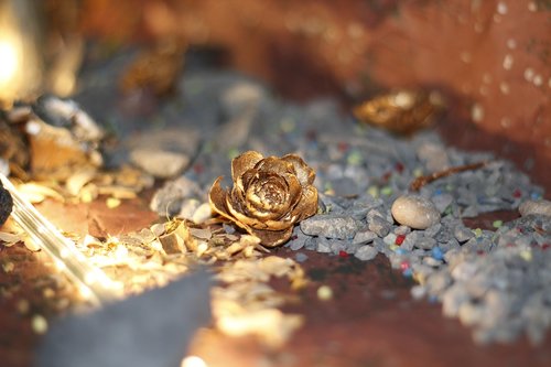 pinecone  pebbles  lighting