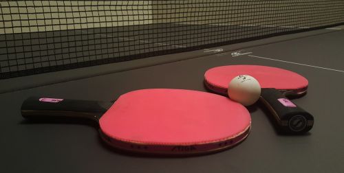 ping pong table tennis paddles