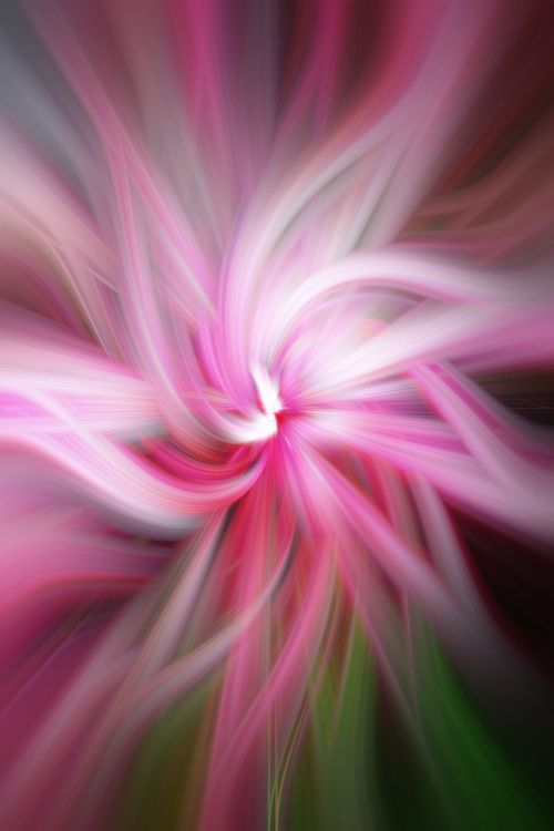 pink apple blossom twirl