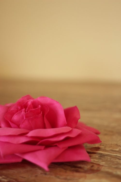 pink fabric rose