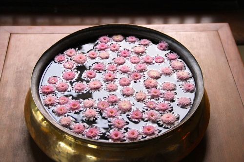 pink flowers bowl