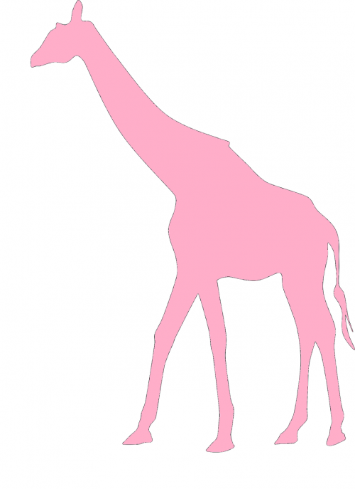 pink giraffe baby girl