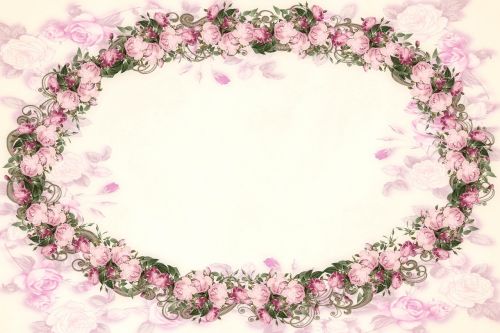 pink roses oval