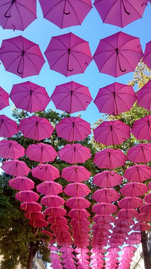 pink parrapluie umbrella