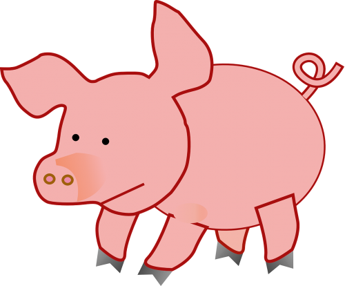 pink pig fat